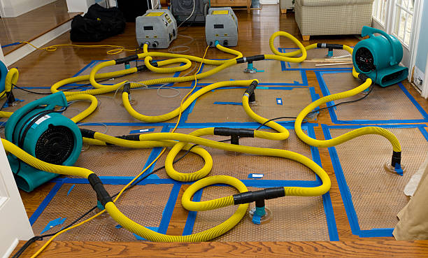 Professional Crawl Space Water Removal technician working in Kettlersville, OH